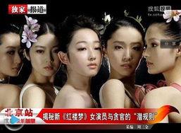 明星排名大全 潜规则全书阅读,明星排名与潜规则内幕全解析